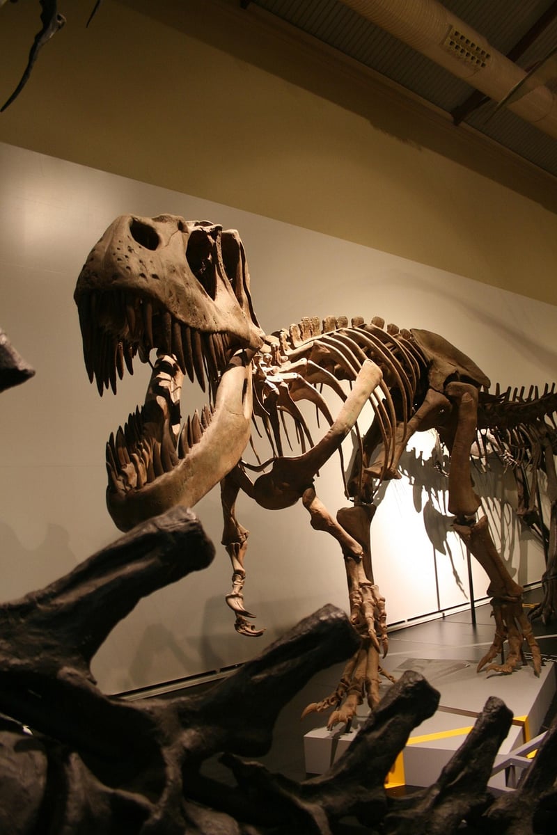 Dinosaurs era