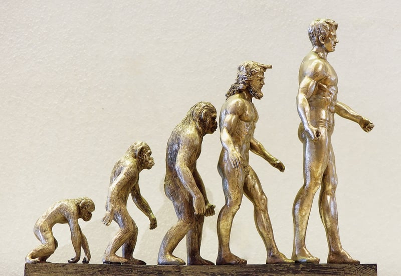 Technology evolution